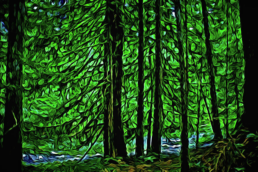 Creekside Forest by Richard Farrington Creekside Forest by Richard Farrington