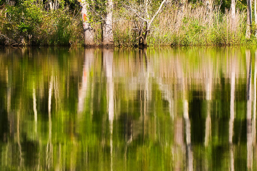 Creekside Reflections Photograph by Bob Decker