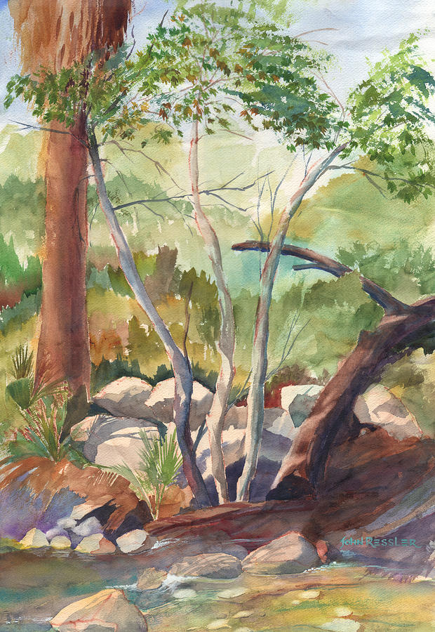 Tree Painting - Creekside Sycamores by John Ressler