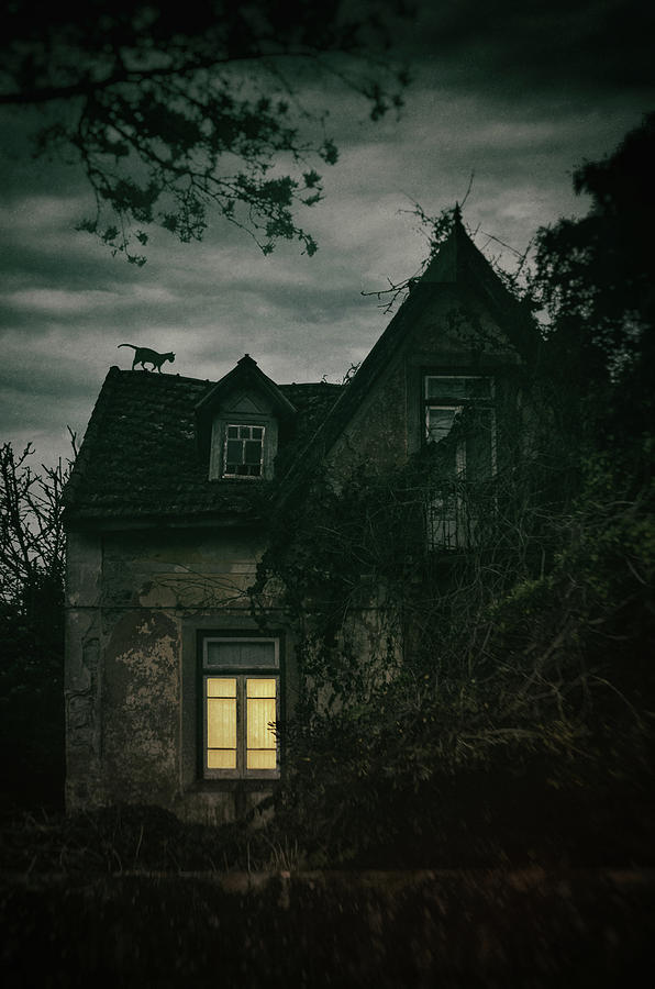 Creepy House with Cat Photograph by Carlos Caetano