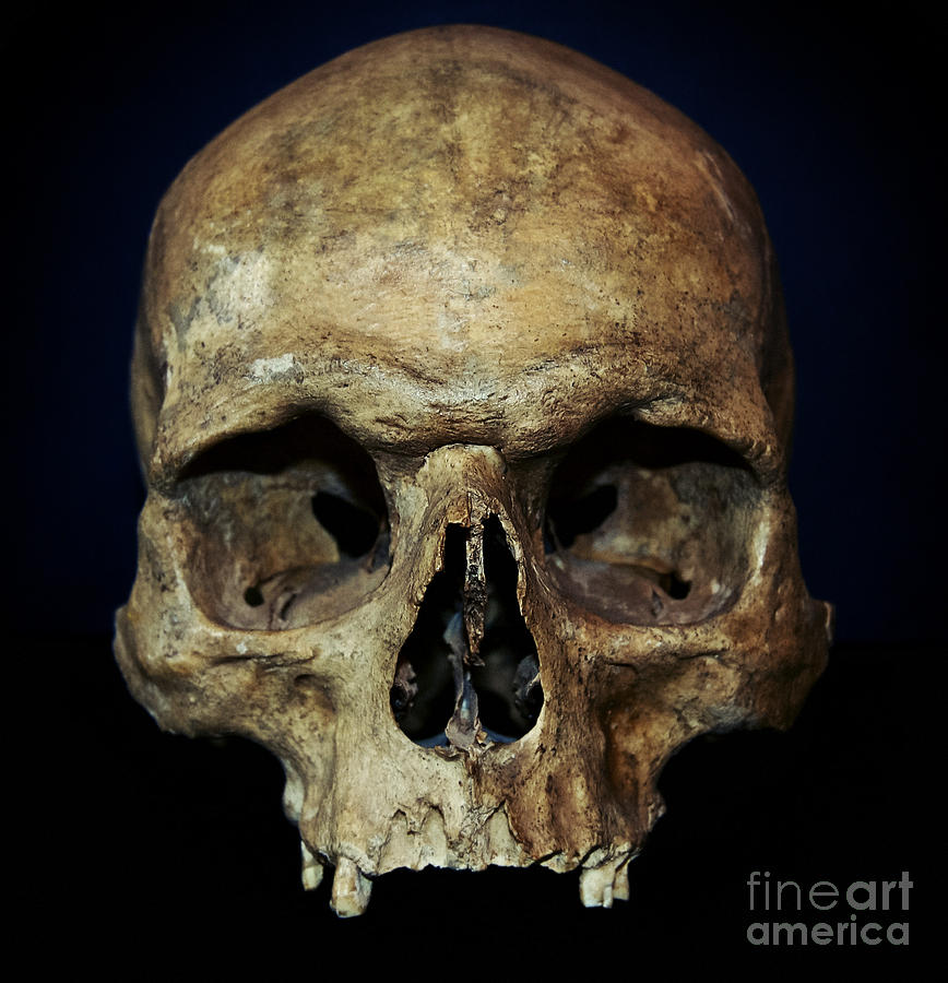 Halloween Photograph - Creepy Skull by Iryna Liveoak