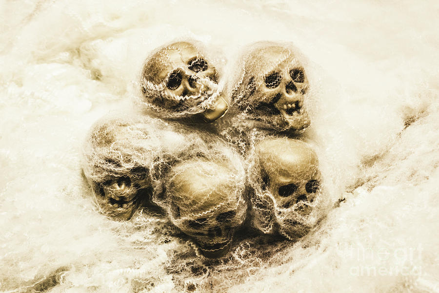 Halloween Photograph - Creepy skulls covered in spiderwebs by Jorgo Photography