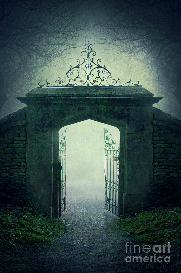 Creepy Wrought Iron Gateway At Night In Fog Photograph by Lee Avison
