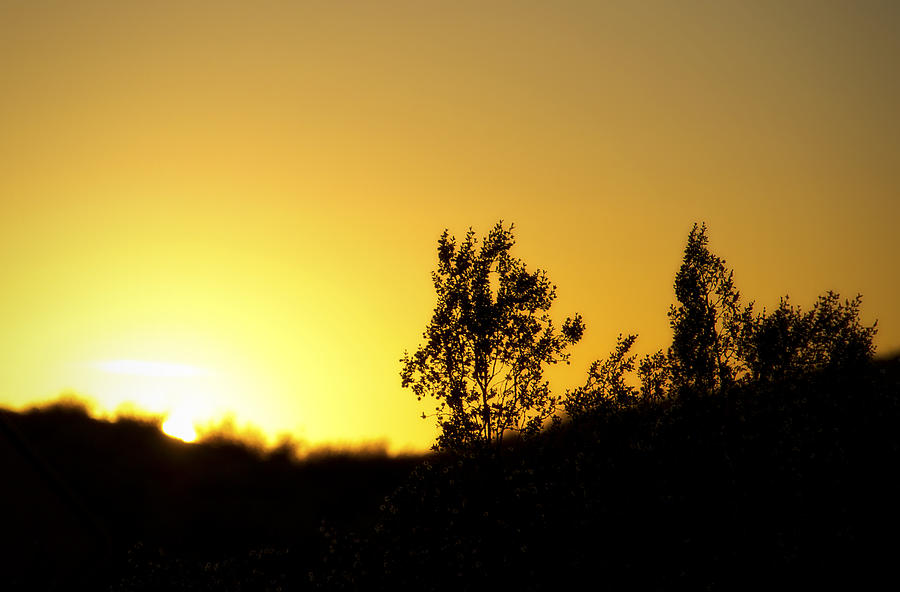 Sunset Photograph - Creosote Sunset by Mike Hill