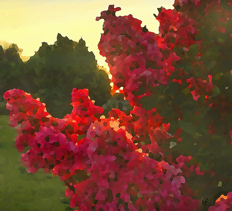 Crepe Myrtle in the Morning Mixed Media by Shelli Fitzpatrick