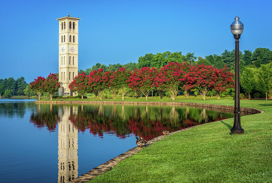 Crepe Myrtle Row by Chilehead Photography