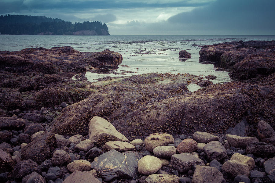 Crescent Bay, Olympic Peninsula  Photograph by Susan Bandy