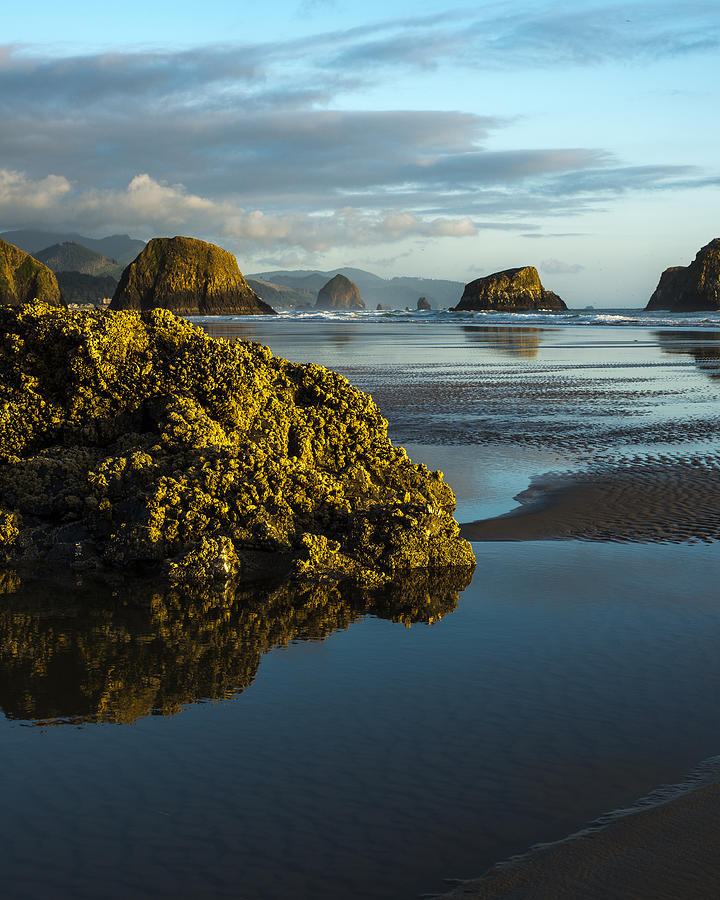 Crescent Beach Photograph by Robert Potts