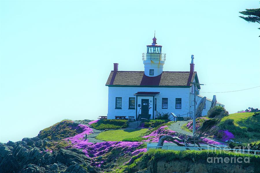 Crescent City Lighthouse Photograph by Merle Grenz