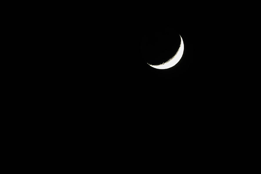 Crescent Moon  Photograph by Alison Frank