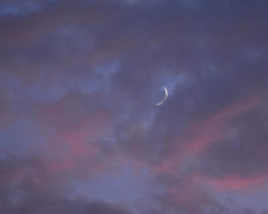 Crescent Moon and Pink Clouds Photograph by Jeanette Fiveash - Fine Art ...