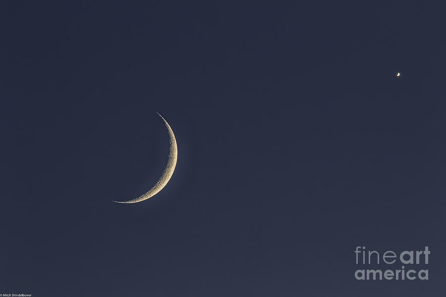 Planet Photograph - Crescent Moon And Venus by Mitch Shindelbower