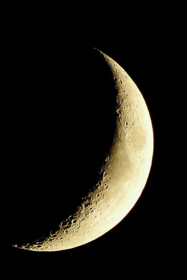 Crescent Moon Photograph by Catie Canetti