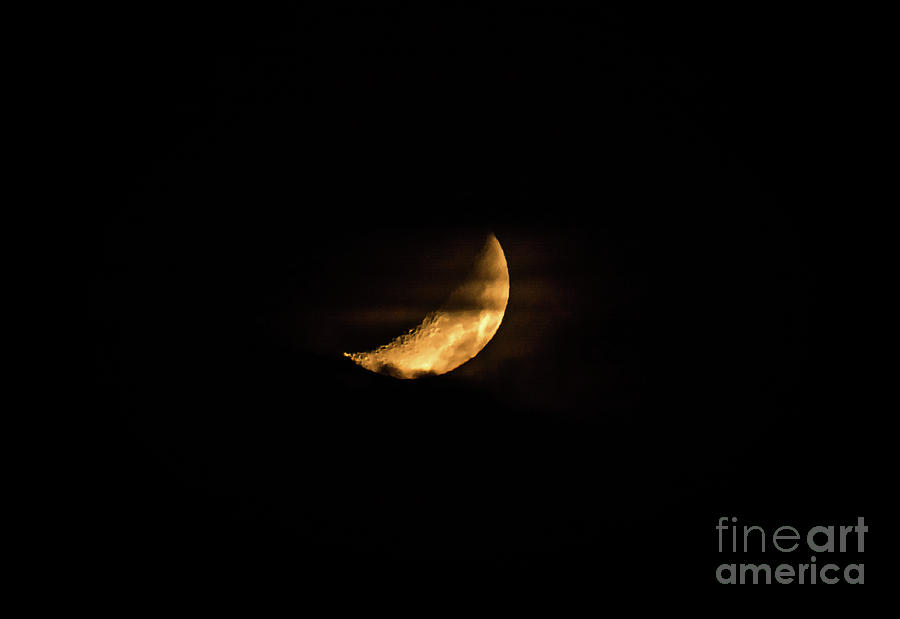 Crescent Moon Photograph by Cheryl Baxter