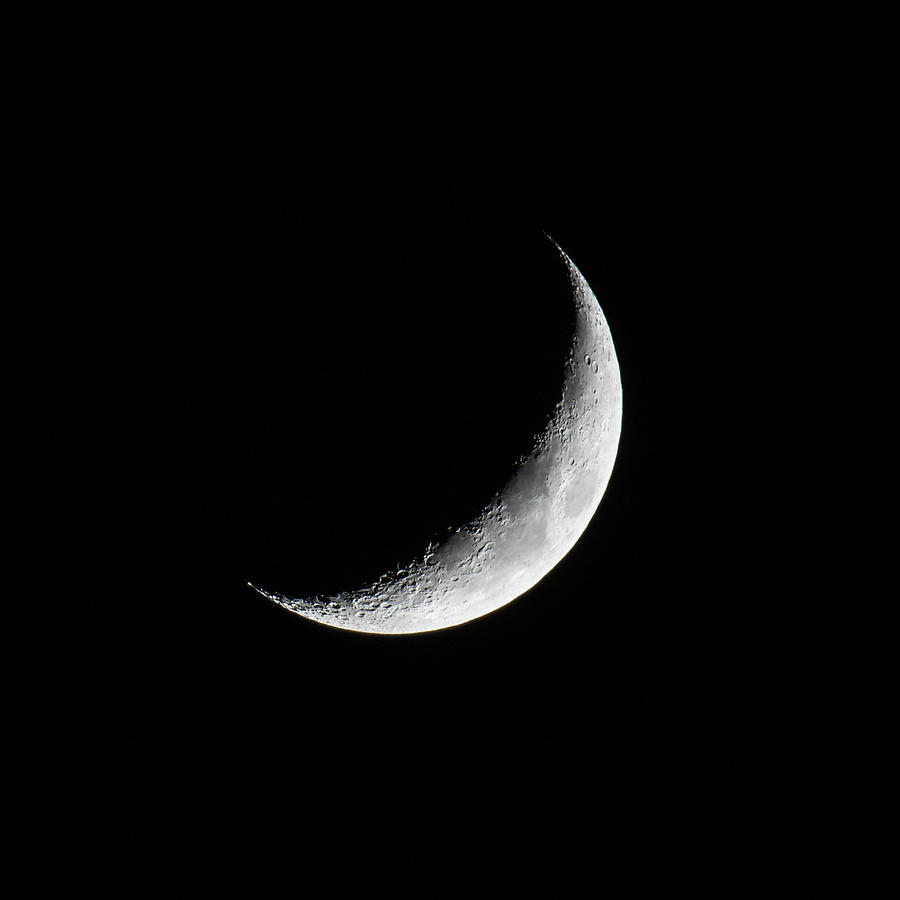Crescent Moon Photograph by Scene by Dewey