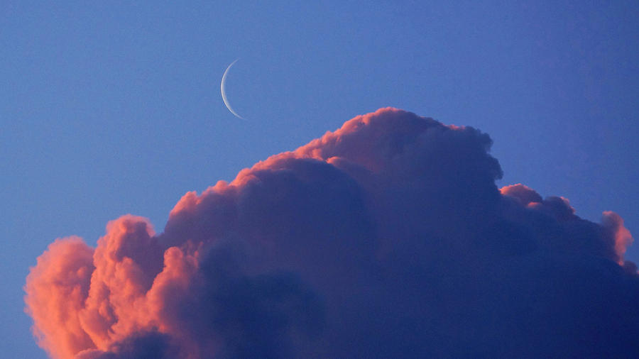 Crescent Moon in the Pink Photograph by Lawrence S Richardson Jr
