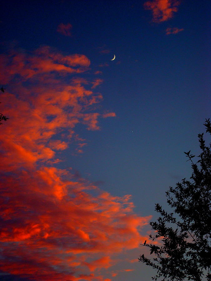 Crescent Moon Sunset Photograph by Julie Pappas