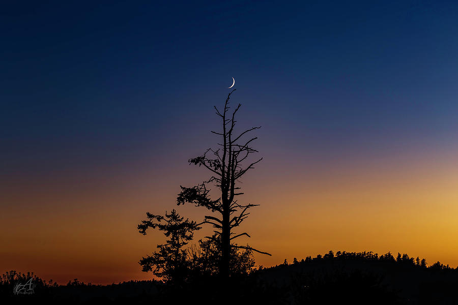 Crescent Moon Photograph by Thomas Ashcraft