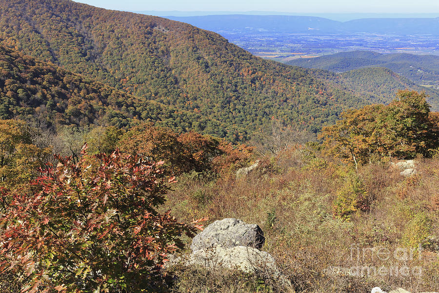 Crescent Rock Overlook on Skyline Drive in Shenandoah National Park Photograph by Louise Heusinkveld