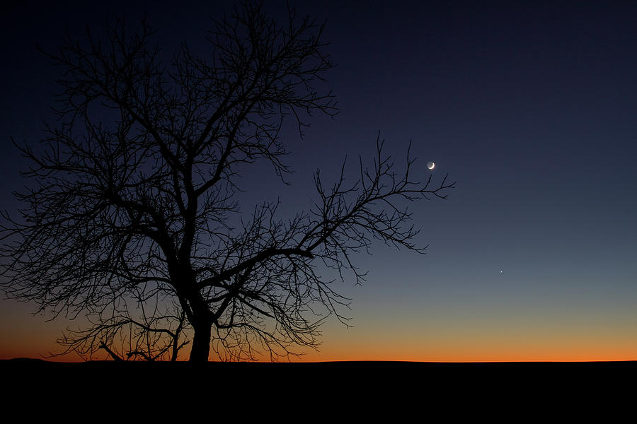 Cresenct Moon over Flint Hills Photograph by Jon Friesen