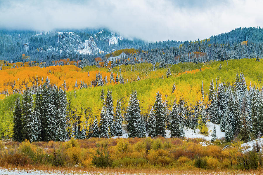 Crested Butte Colorado Fall Color and Snow Photograph by Teri Virbickis