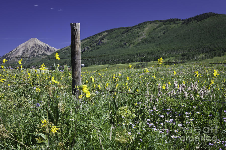 Crested Butte Scene 2 Photograph by Timothy Hacker