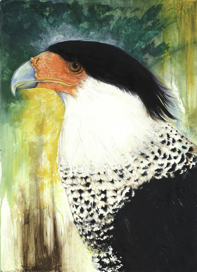 Crested Caracara Mixed Media by Anthony Burks Sr