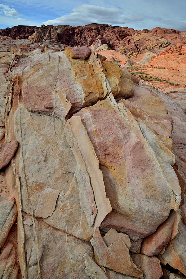 Cresting Sandstone in Valley of Fire Photograph by Ray Mathis