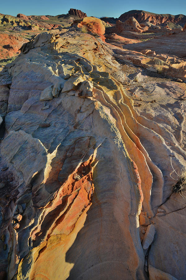 Crests of Sandstone in Valley of Fire Photograph by Ray Mathis