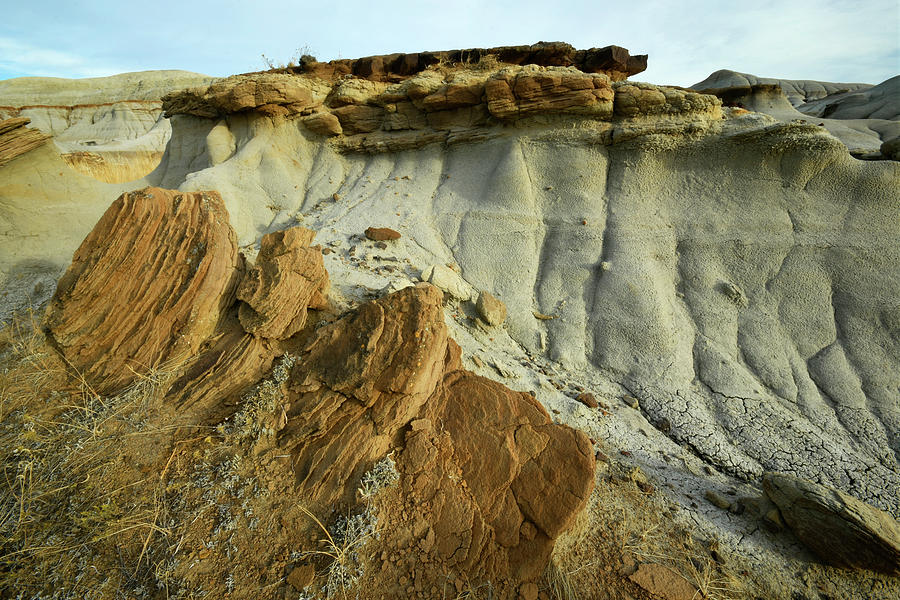 Cretaceous Landscape Series-14 Photograph by Angelito De Jesus
