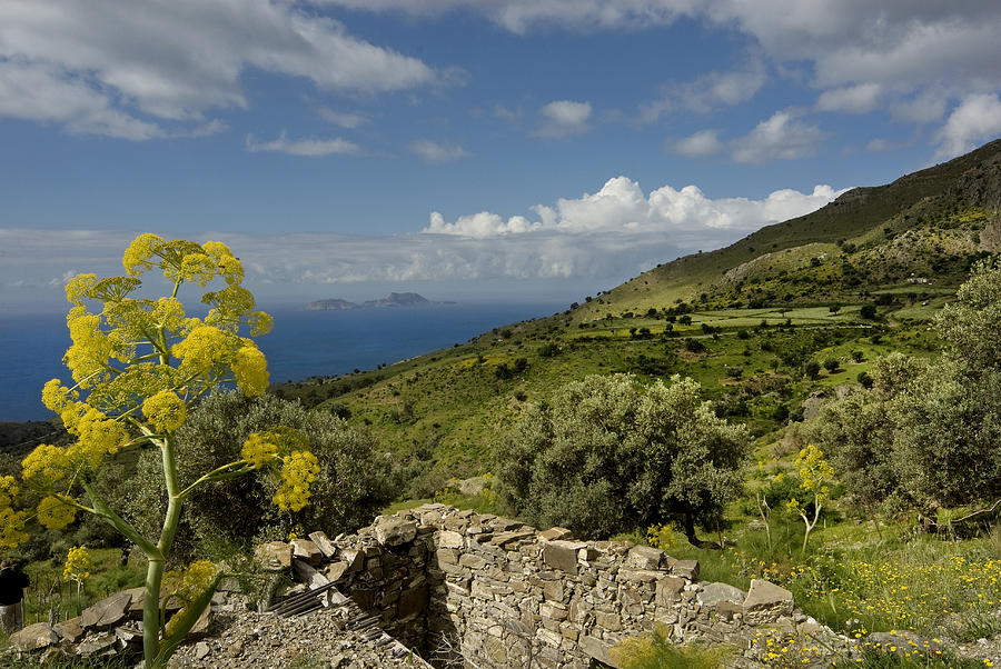Crete Photograph - Crete by Robert Lacy