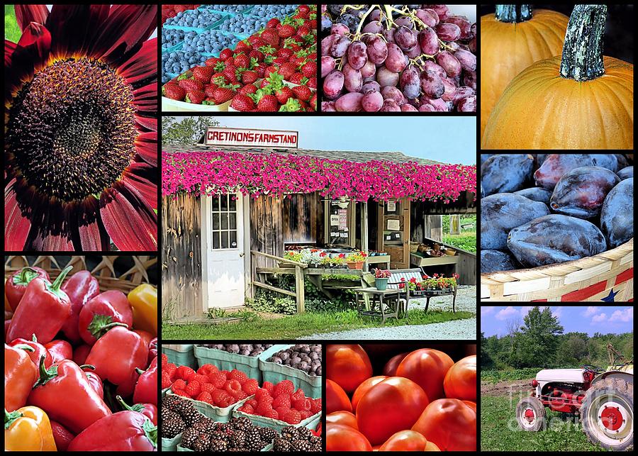 Cretinons Farmstand Collage Photograph by Janice Drew