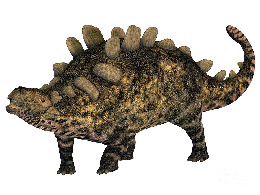 armored dinosaur