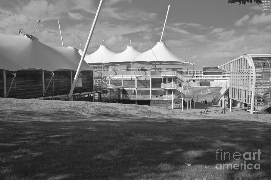 Cricket Ground Southampton Black and white Photograph by Terri Waters