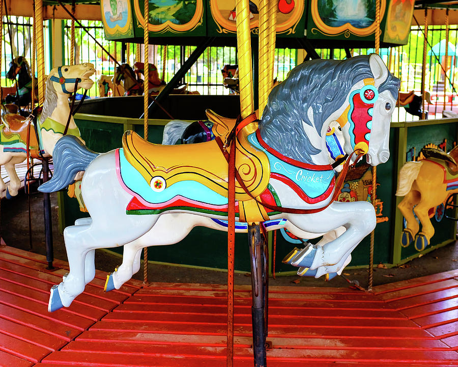 Cricket the Horse Kennedy Park Antique Merry Go Round Carousel ...