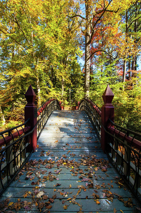 Crim Dell Bridge Fall Crossing Photograph by Linda Eszenyi - Fine Art ...