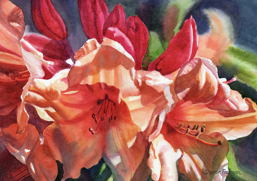 Flowers Still Life Painting - Crimson And Bronze Rhododendron by Sharon Freeman