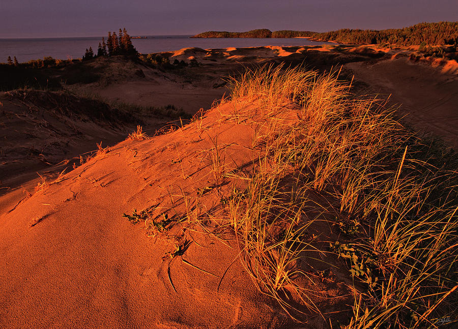 Crimson Dunes Photograph by Doug Gibbons