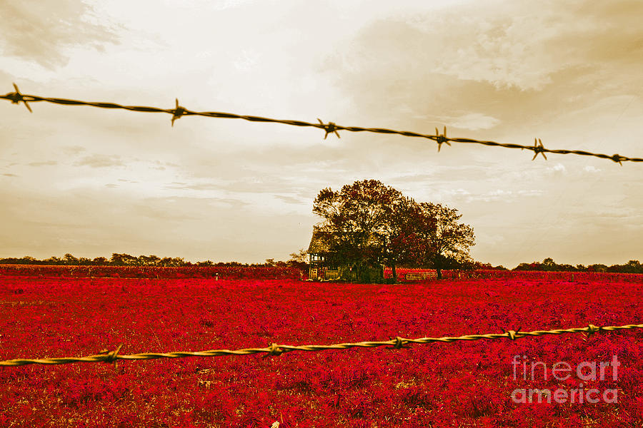 Crimson Farmland Photograph by Beth Ferris Sale