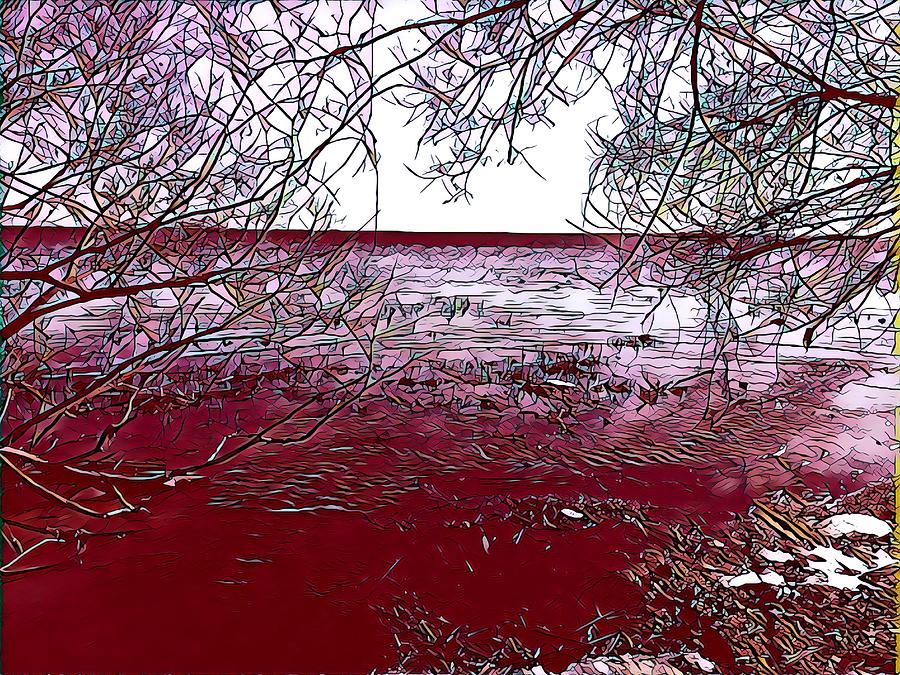 Crimson Horizon Digital Art