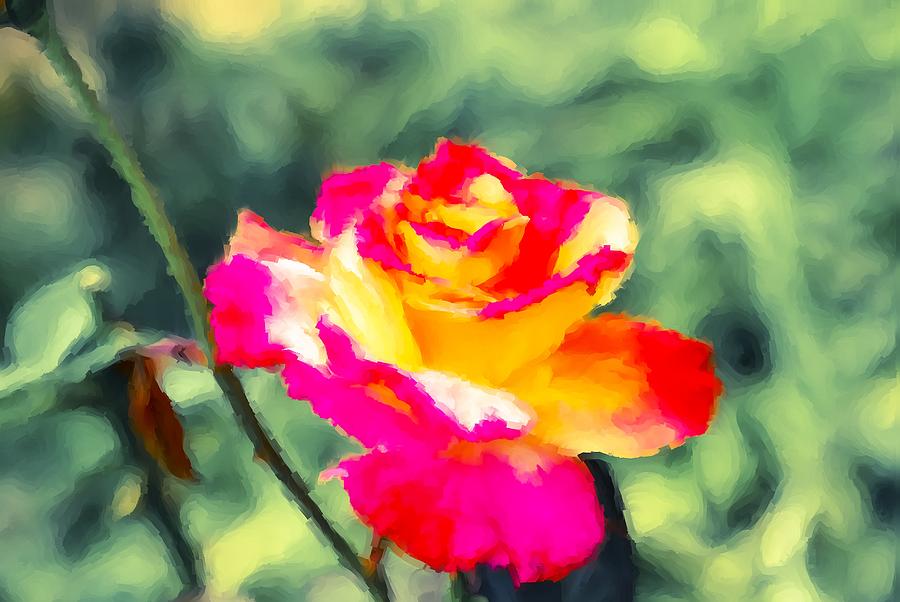 Crimson Rose Painting Painting by Don Wright