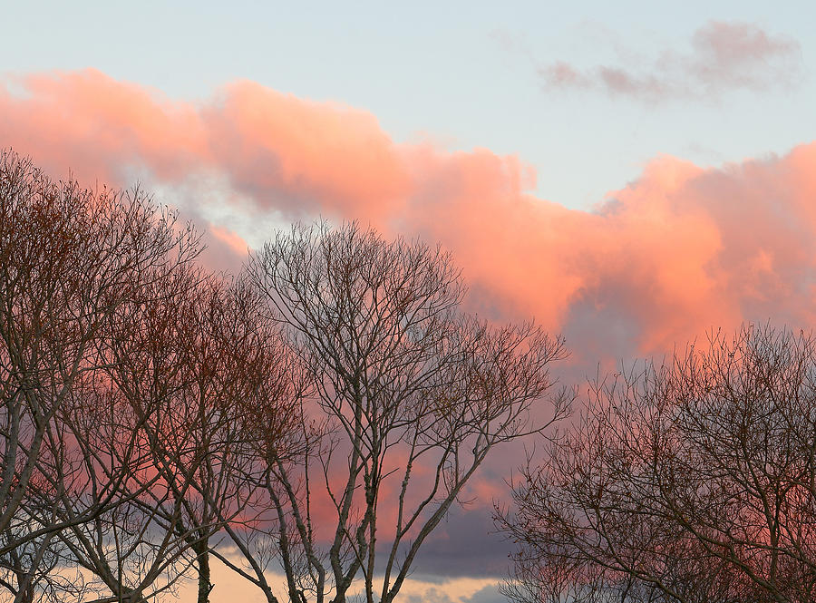 Sunset Photograph - Crimson Sky by Nicholas Blackwell