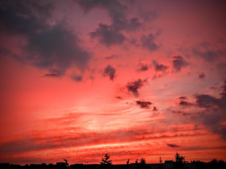 Sunset Photograph - Crimson Sky by Ric Schafer