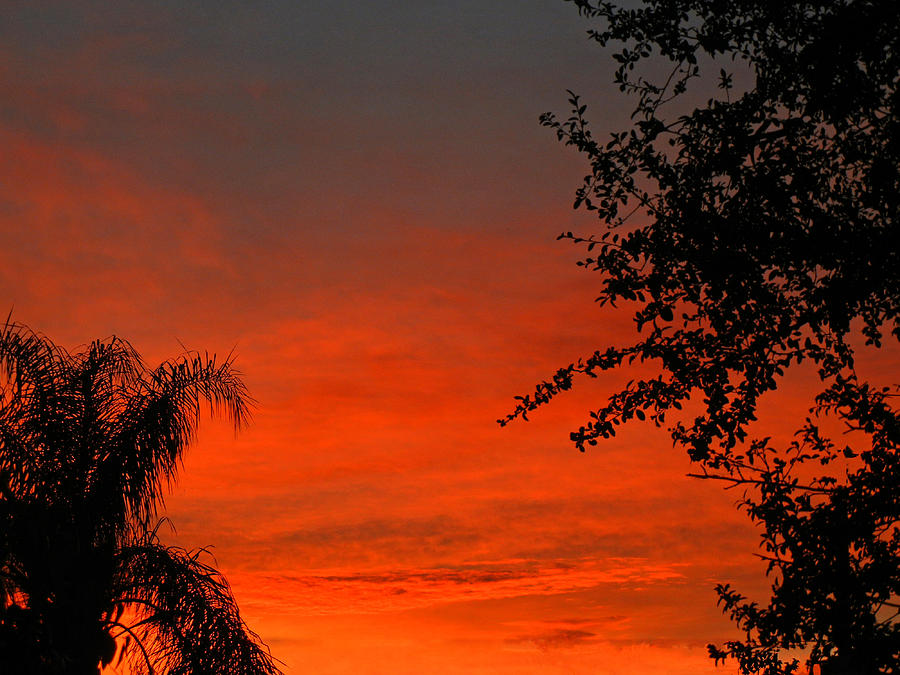 Crimson Sunrise Photograph by Mark Blauhoefer