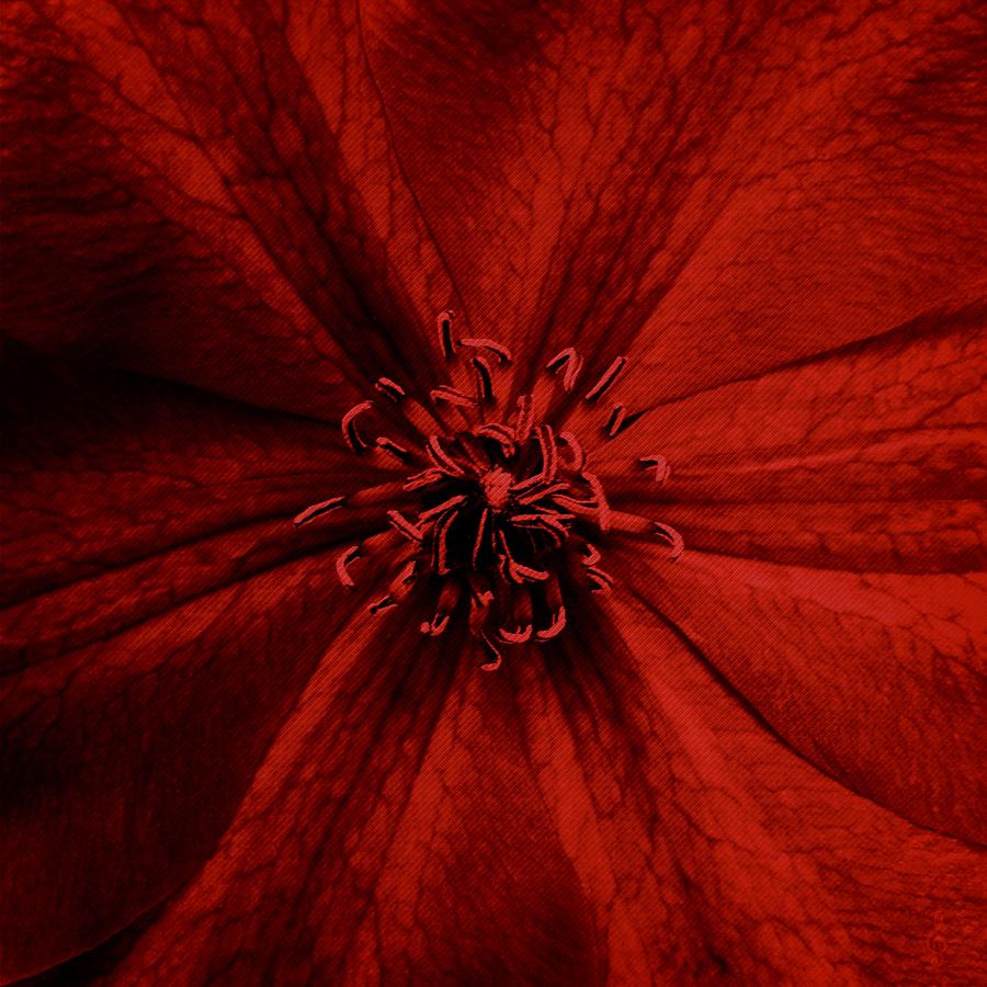 Crimson by Treble Stigen Crimson by Treble Stigen