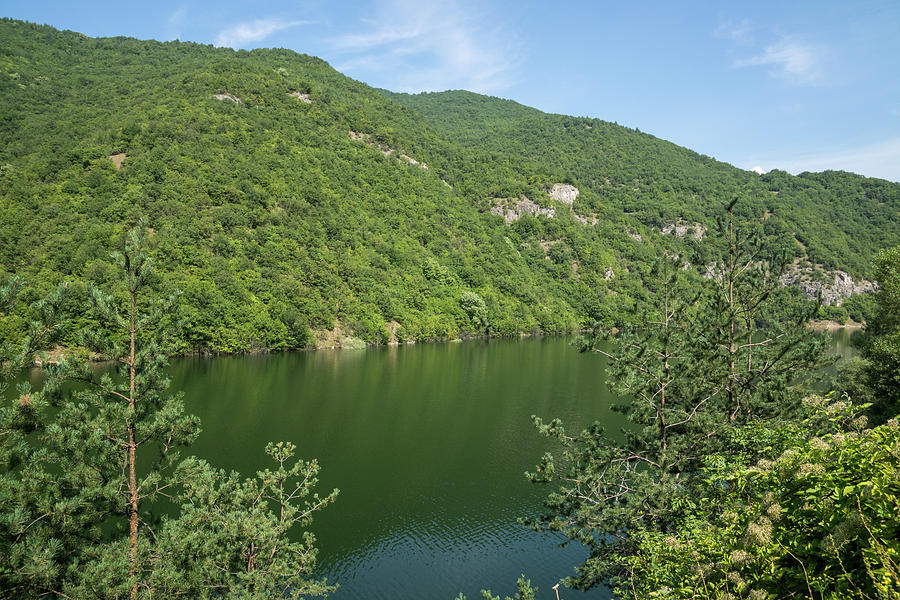 Crisp Green Summer - Mountain Lake Framed by Pines Photograph by Georgia Mizuleva
