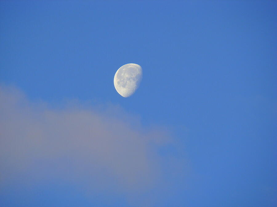 Crisp Morning Moon Photograph by Lisa Rose Musselwhite
