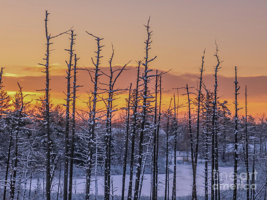 Winter Photograph - Crispy winter sunrise by Claudia M Photography