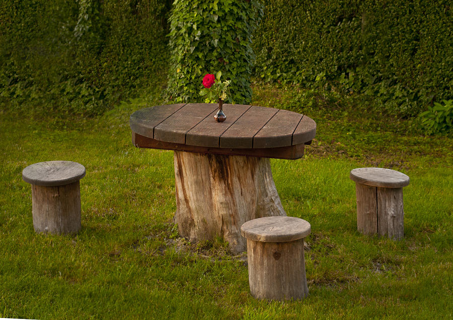 Croatian Picnic Table Photograph by Don Wolf