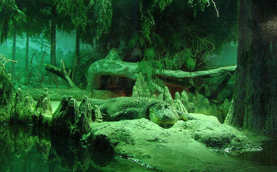 Crocodile Digital Art - Crocodile by Super Lovely